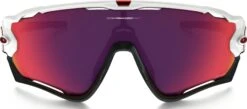Oakley Jawbreaker Prizm Fietsbril -Winkel Voor Fietsaccessoires 9290 05 3